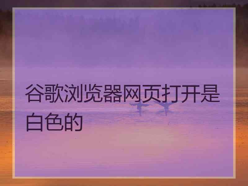 谷歌浏览器网页打开是白色的