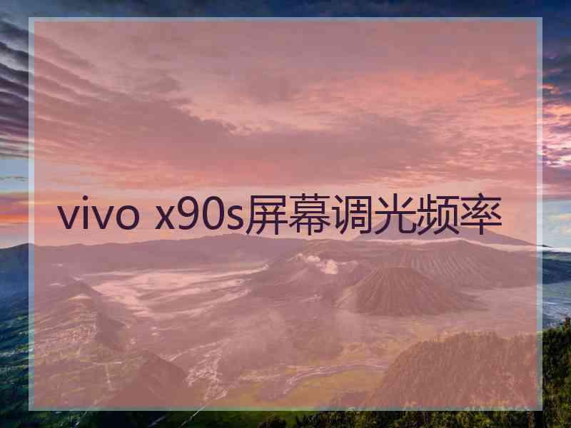 vivo x90s屏幕调光频率