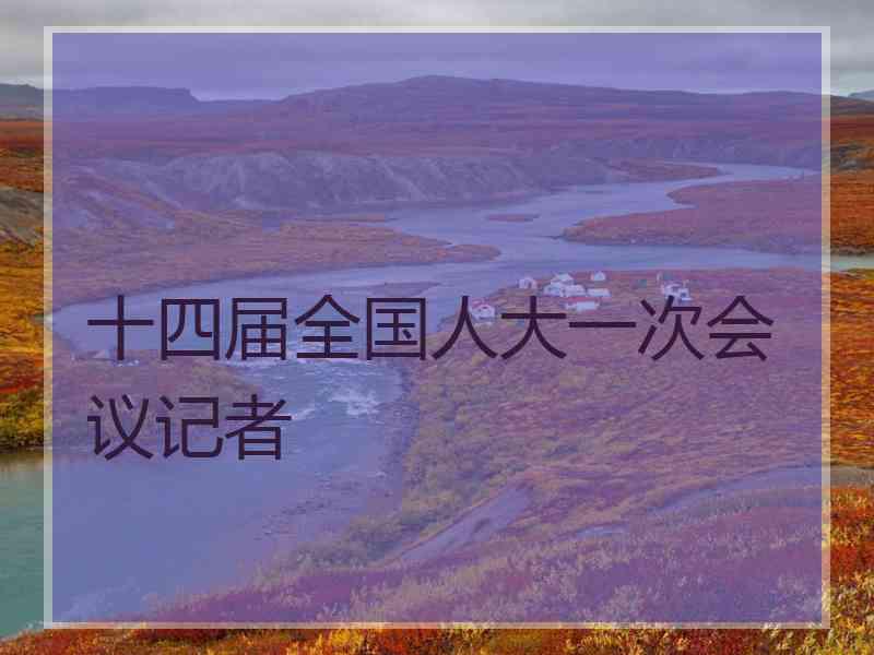 十四届全国人大一次会议记者