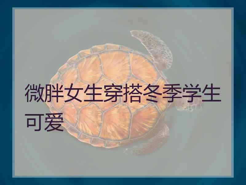 微胖女生穿搭冬季学生可爱