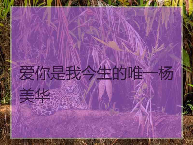 爱你是我今生的唯一杨美华