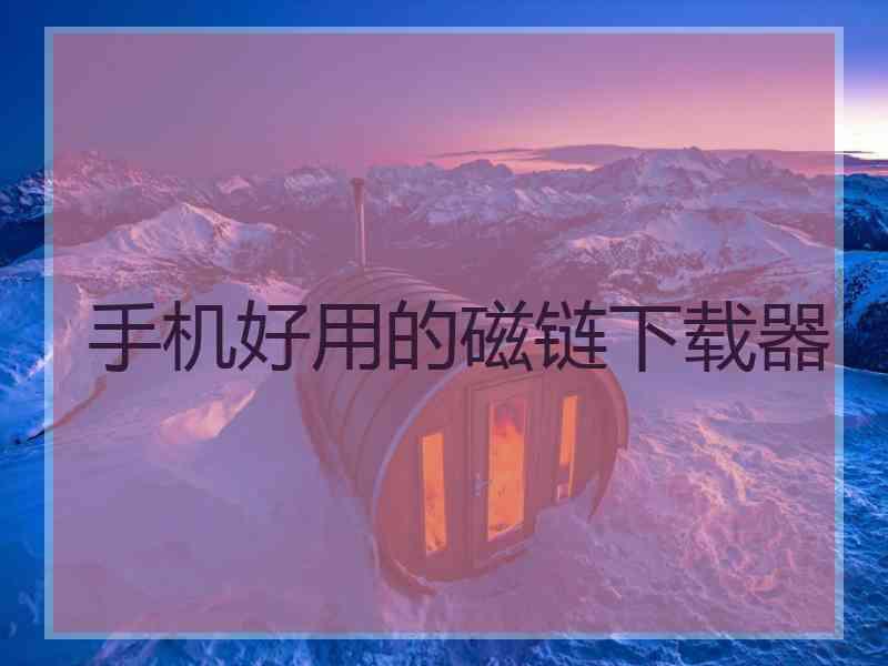 手机好用的磁链下载器