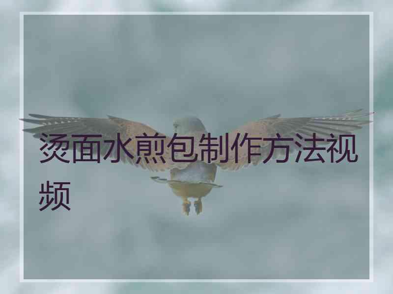 烫面水煎包制作方法视频