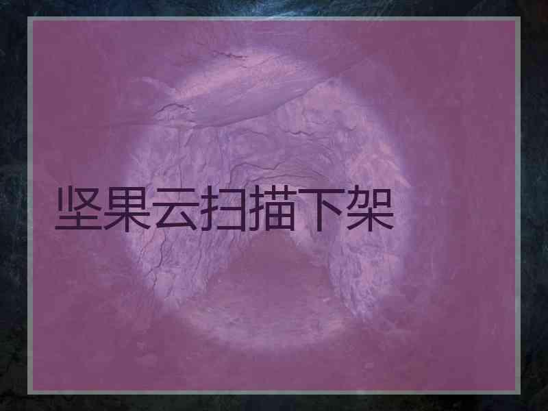 坚果云扫描下架