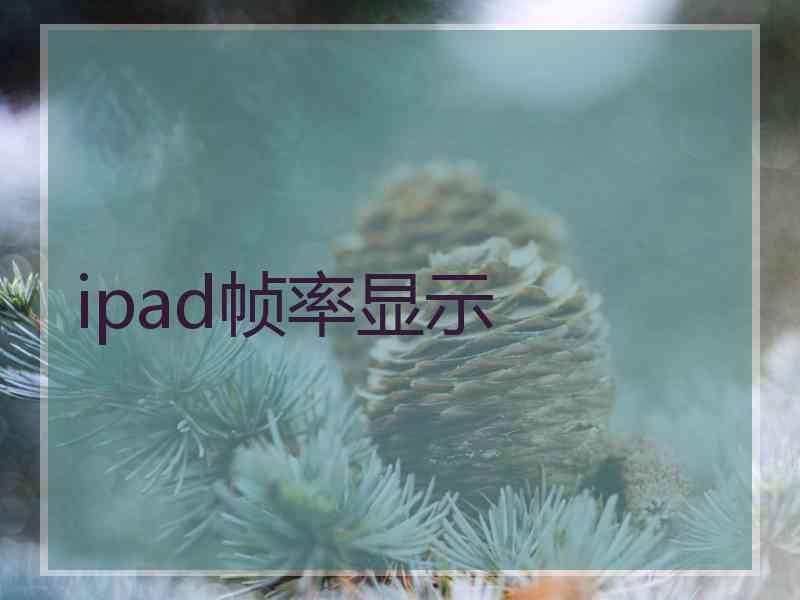 ipad帧率显示
