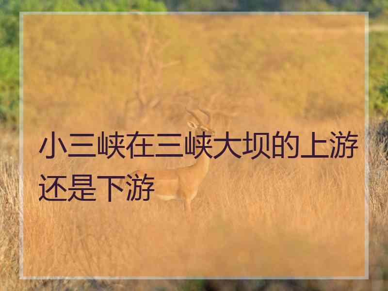 小三峡在三峡大坝的上游还是下游