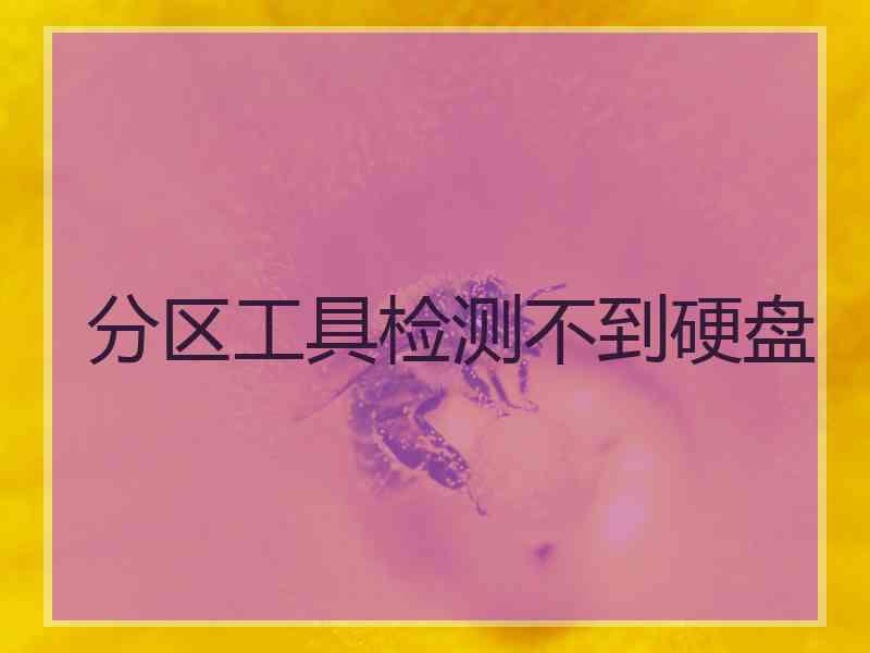 分区工具检测不到硬盘