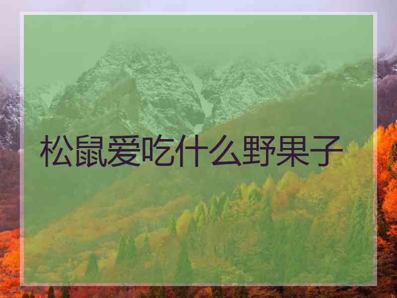 松鼠爱吃什么野果子