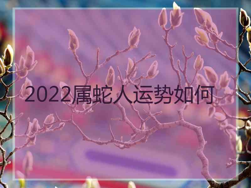 2022属蛇人运势如何