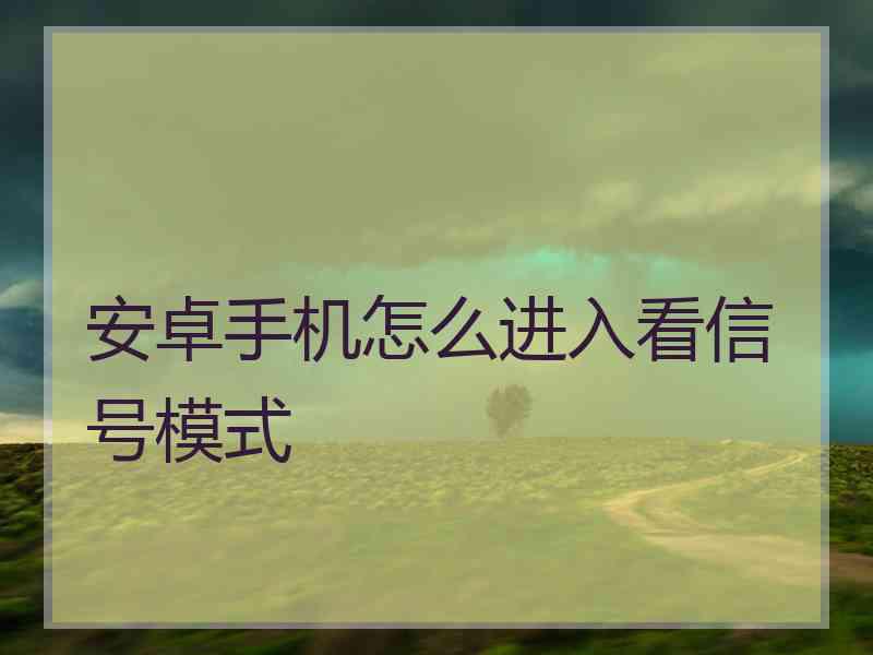 安卓手机怎么进入看信号模式