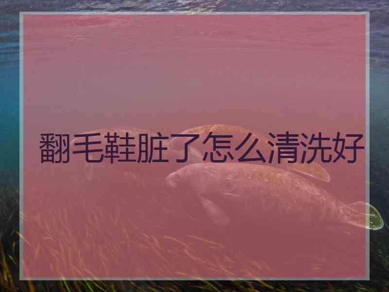翻毛鞋脏了怎么清洗好