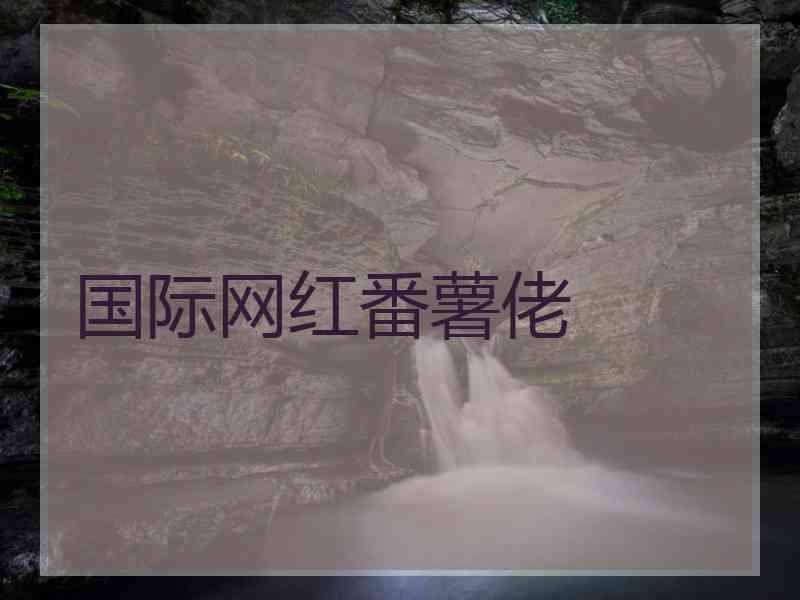 国际网红番薯佬