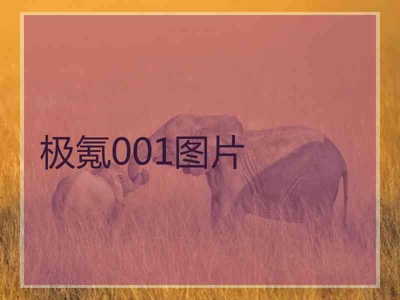 极氪001图片