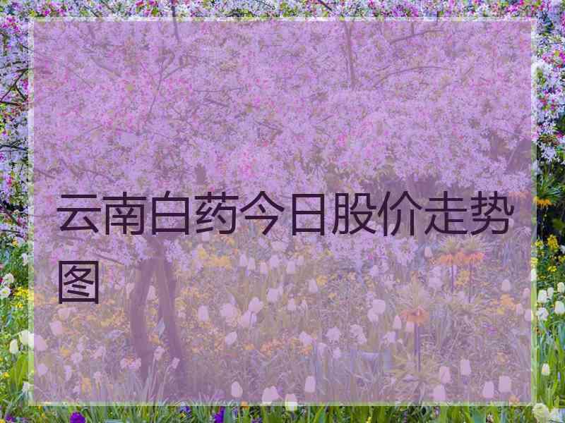 云南白药今日股价走势图
