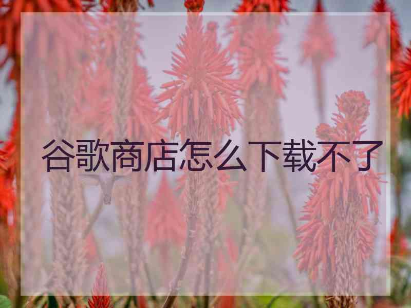 谷歌商店怎么下载不了