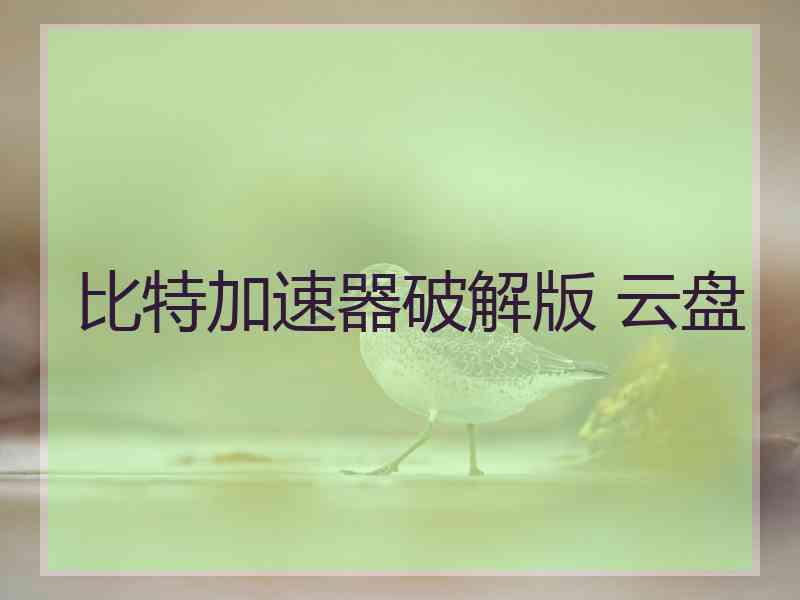 比特加速器破解版 云盘