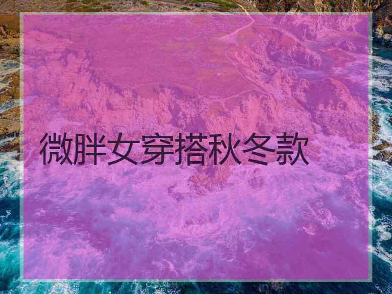 微胖女穿搭秋冬款