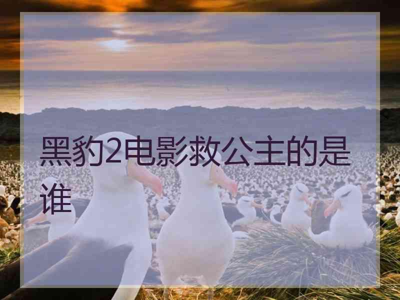 黑豹2电影救公主的是谁