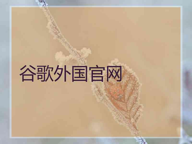 谷歌外国官网