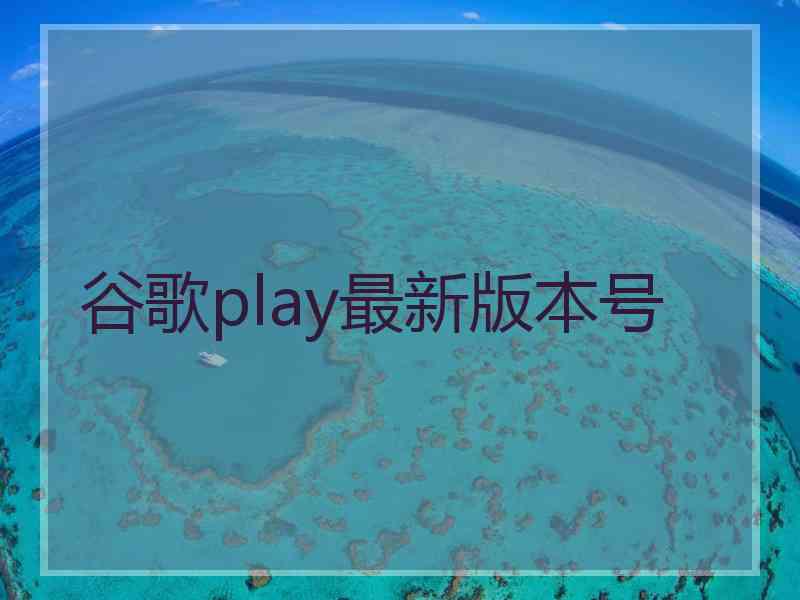 谷歌play最新版本号