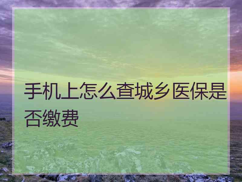 手机上怎么查城乡医保是否缴费