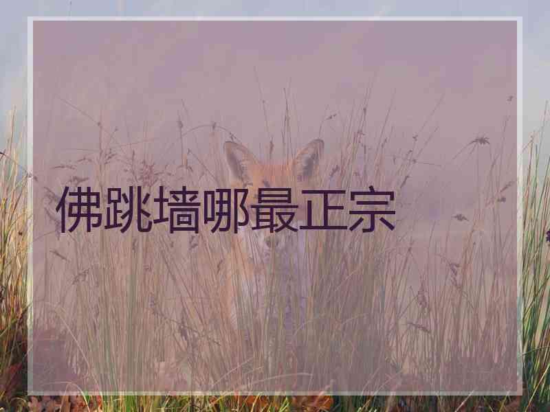 佛跳墙哪最正宗