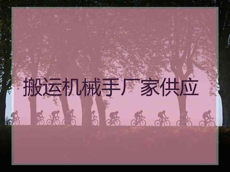 搬运机械手厂家供应