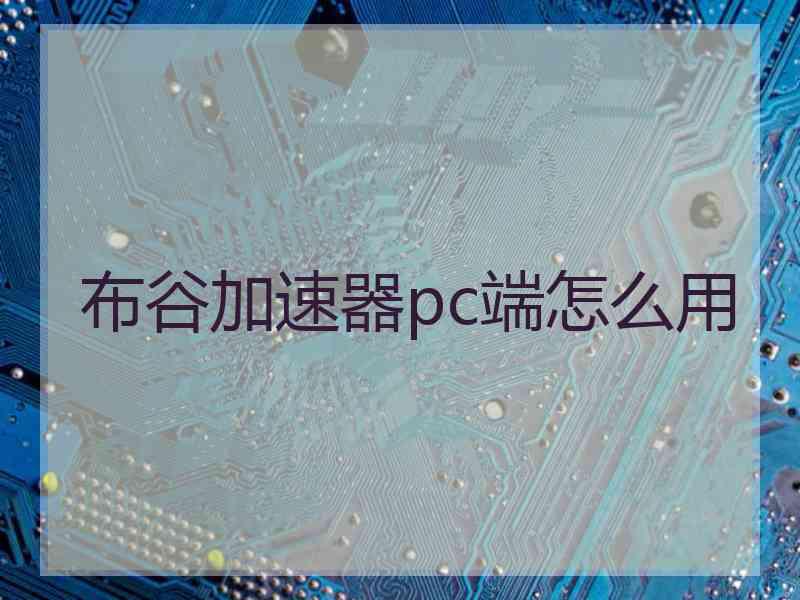 布谷加速器pc端怎么用