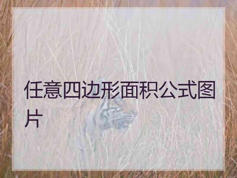 任意四边形面积公式图片