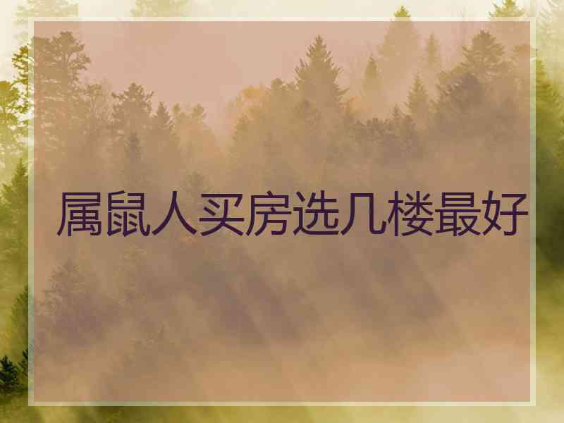属鼠人买房选几楼最好