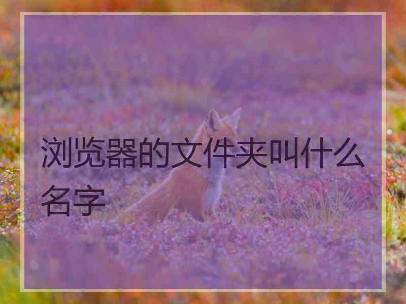 浏览器的文件夹叫什么名字