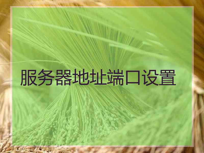 服务器地址端口设置