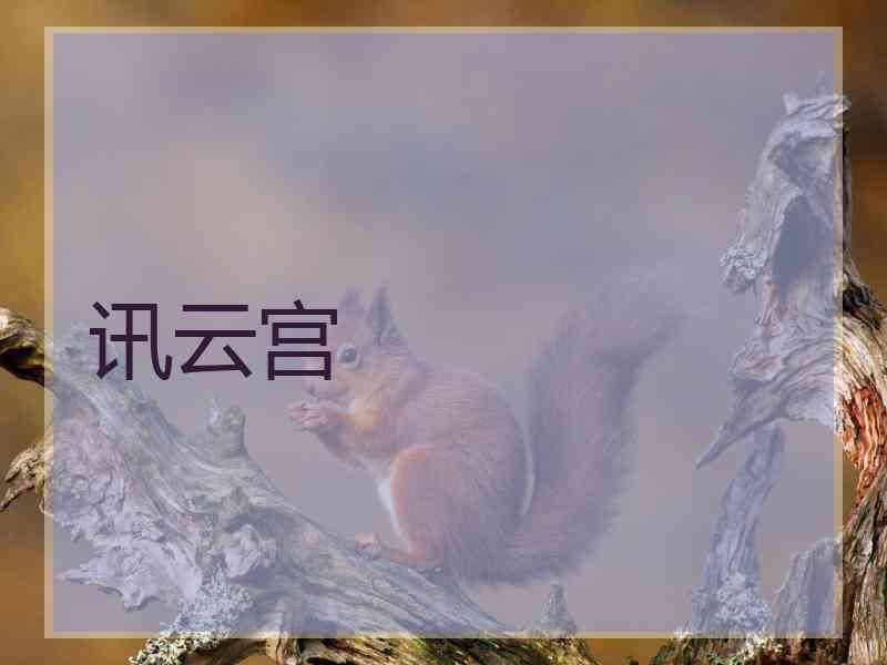 讯云宫