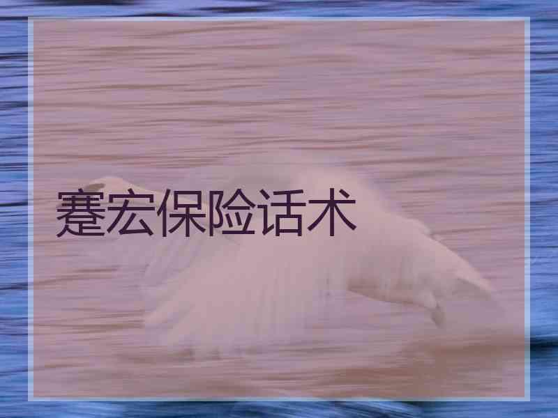 蹇宏保险话术