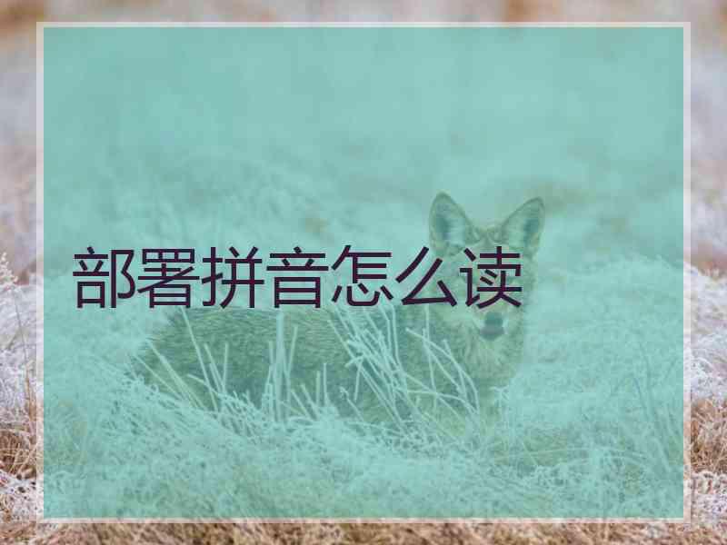 部署拼音怎么读