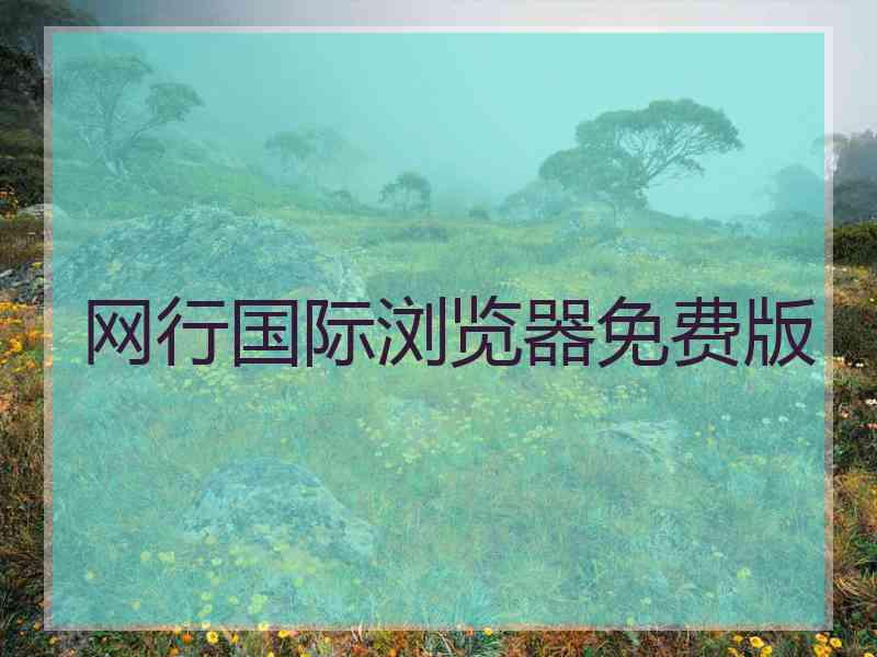 网行国际浏览器免费版