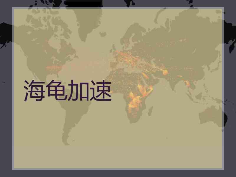 海龟加速