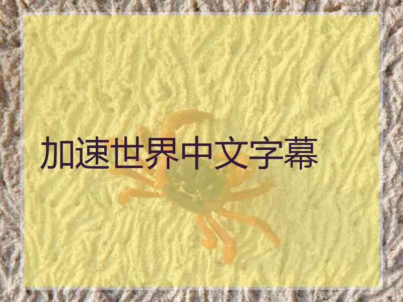 加速世界中文字幕