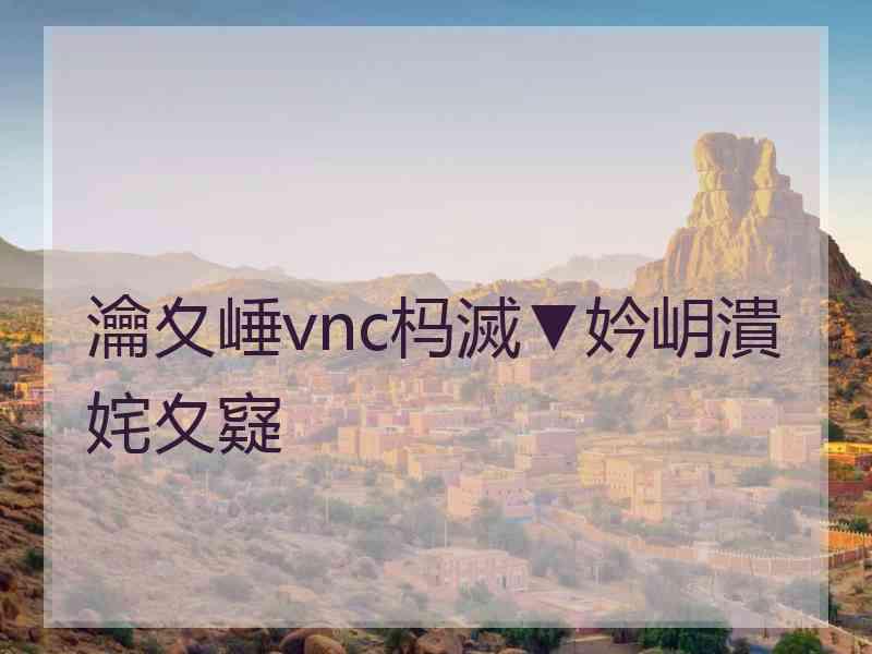 瀹夊崜vnc杩滅▼妗岄潰姹夊寲