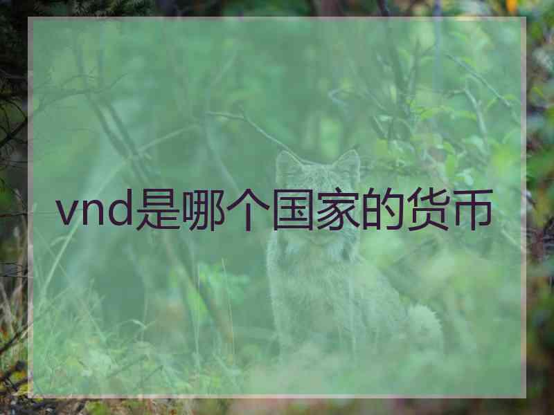 vnd是哪个国家的货币