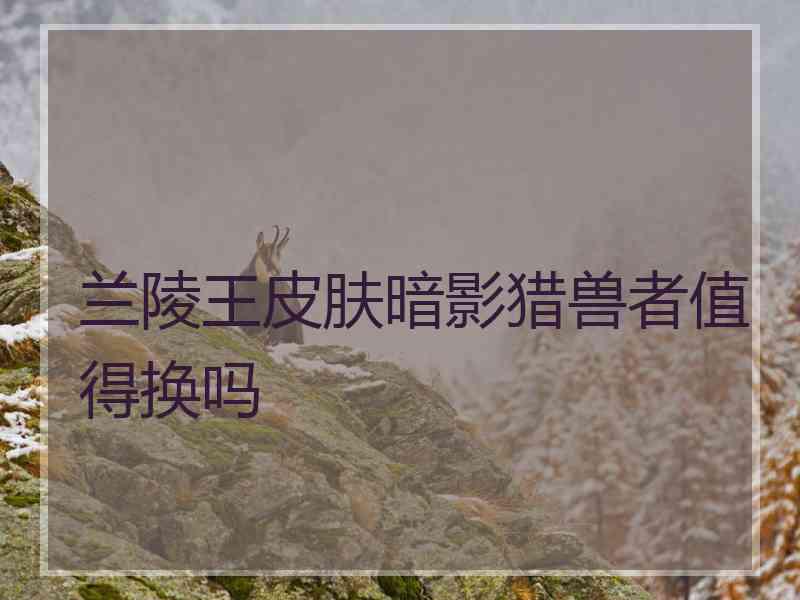 兰陵王皮肤暗影猎兽者值得换吗