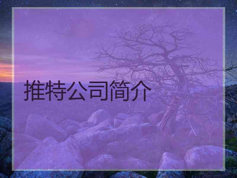 推特公司简介