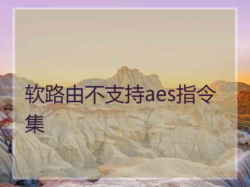 软路由不支持aes指令集