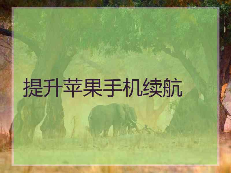 提升苹果手机续航