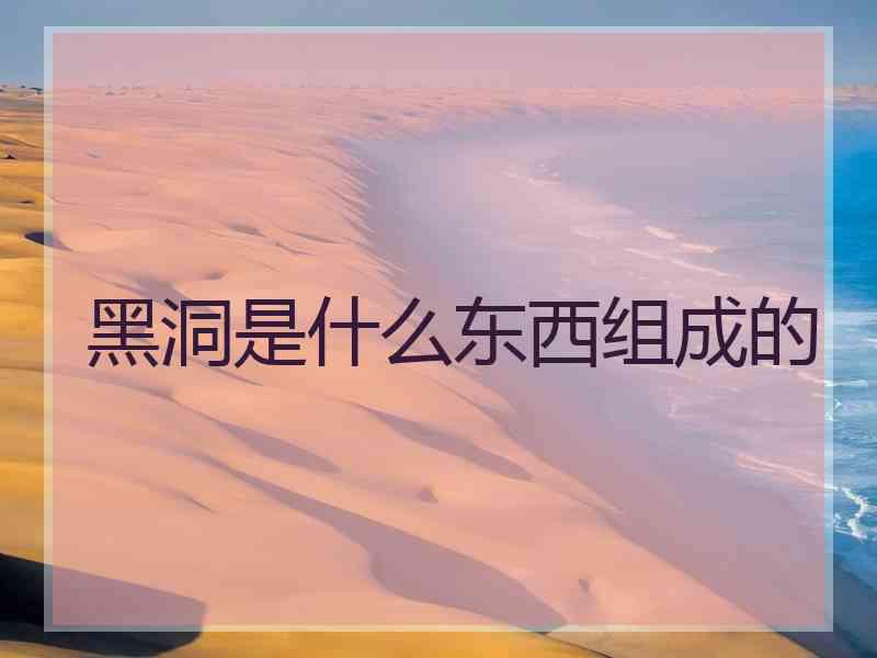 黑洞是什么东西组成的