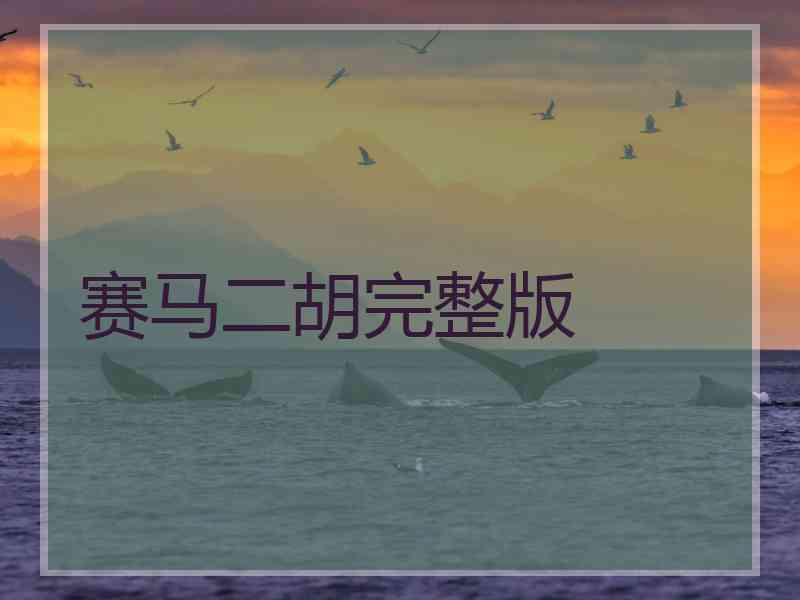 赛马二胡完整版