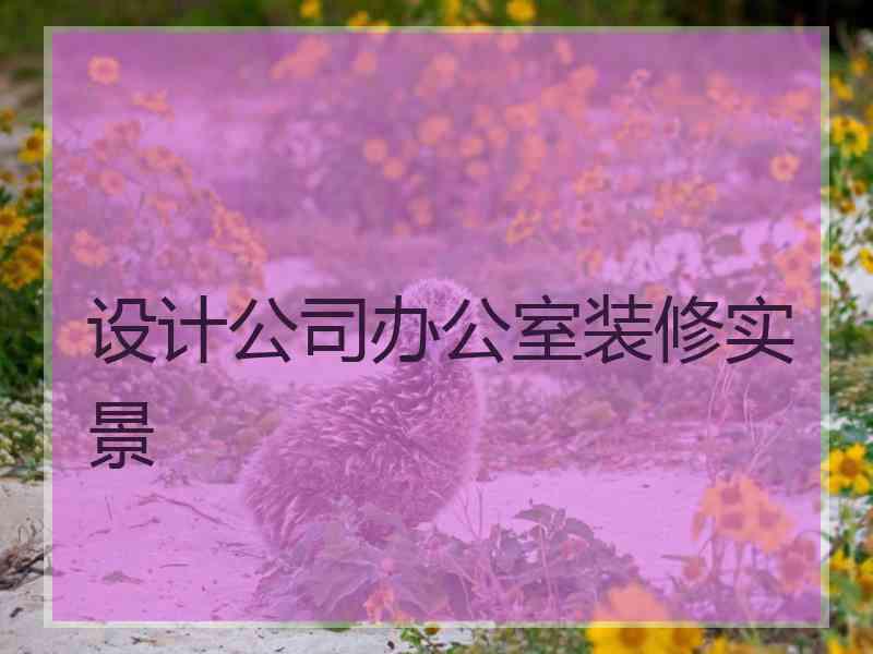 设计公司办公室装修实景