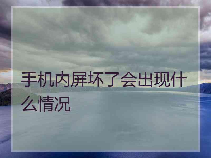 手机内屏坏了会出现什么情况