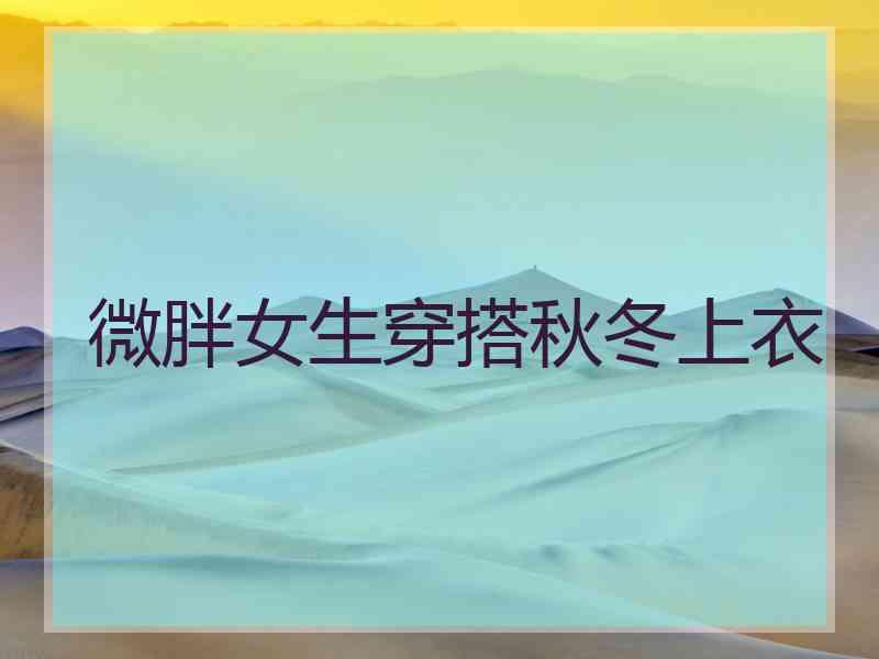 微胖女生穿搭秋冬上衣