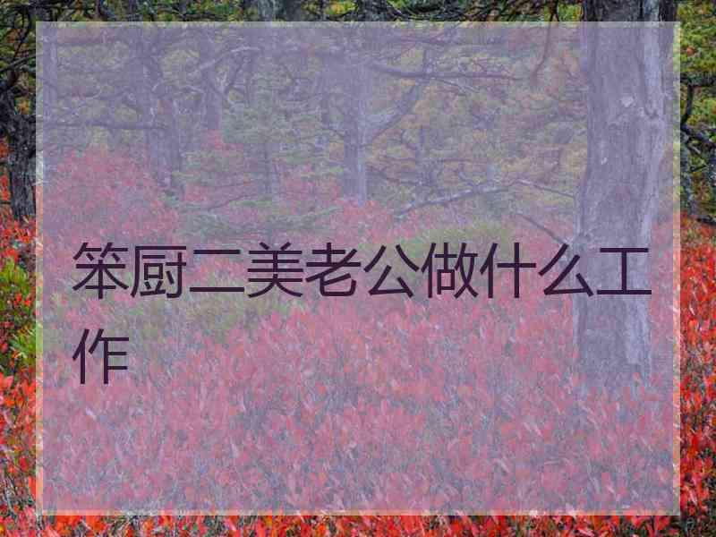 笨厨二美老公做什么工作